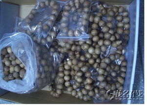 探索工藝美術品批發(fā)與零售 藝術與商業(yè)的交匯點